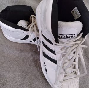 Adidas Pro Model cloud